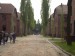 Auschwitz 10.jpg
