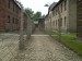 Auschwitz 15.jpg