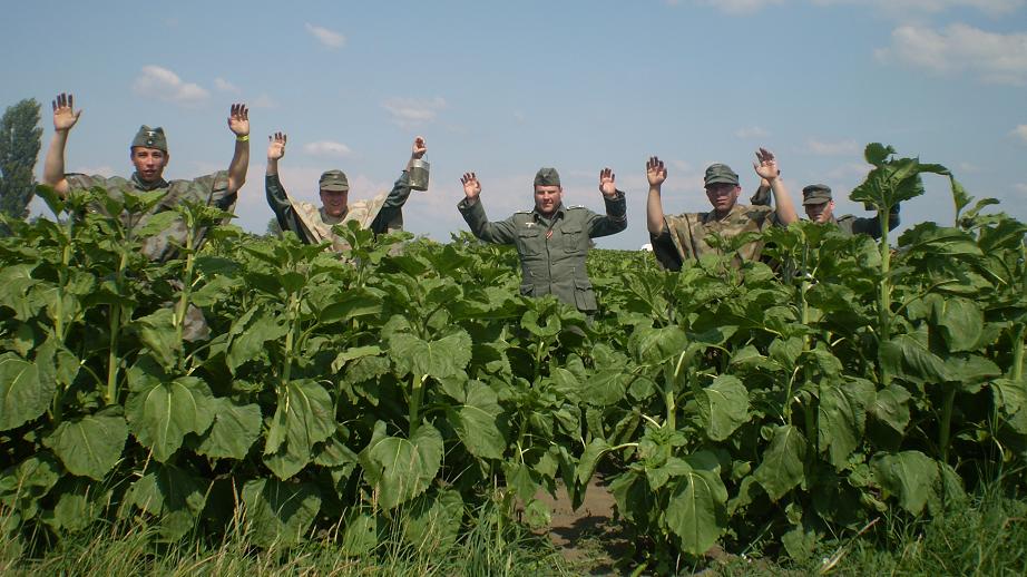 Letecký deň NZ 24