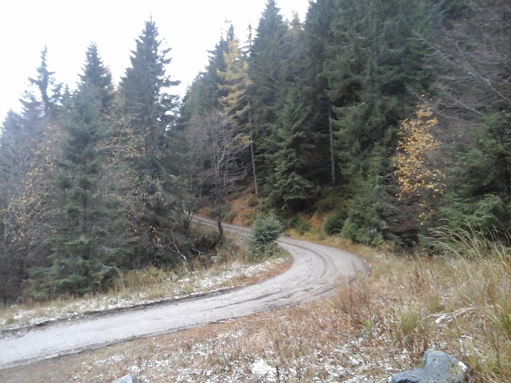 Moštenica 05