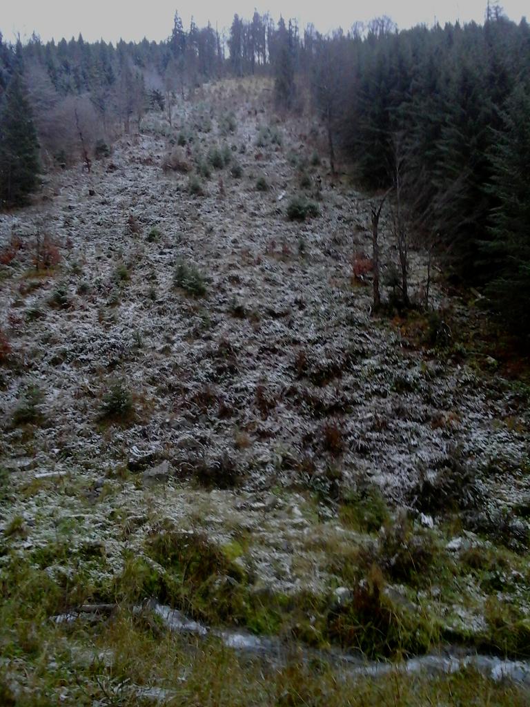 Moštenica 06