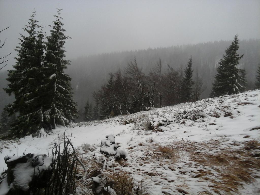 Moštenica 10
