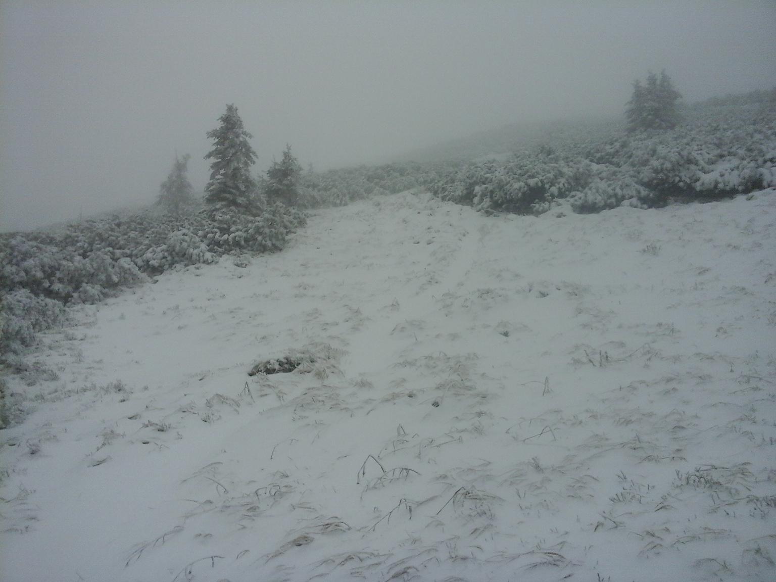 Moštenica 14