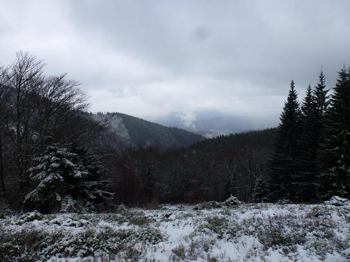 Moštenica 09c