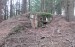 Šumava 17